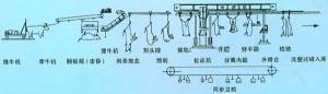 牛的屠宰工艺示意图