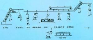 羊的屠宰工艺示意图